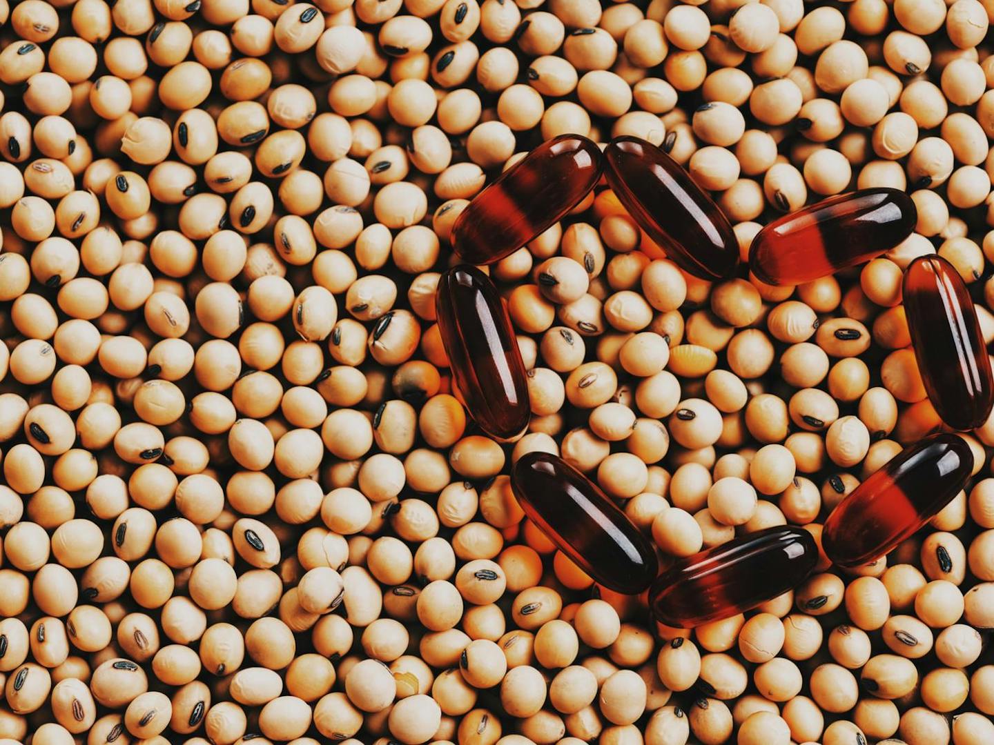 NEOH Ingredients / NEOHpedia: Lecithine (Soy)